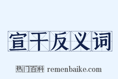 宣干反义词是什么意思的图片